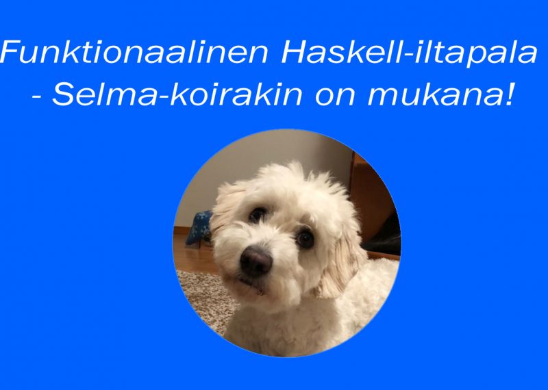 Haskell on Selma-koiran suosikki